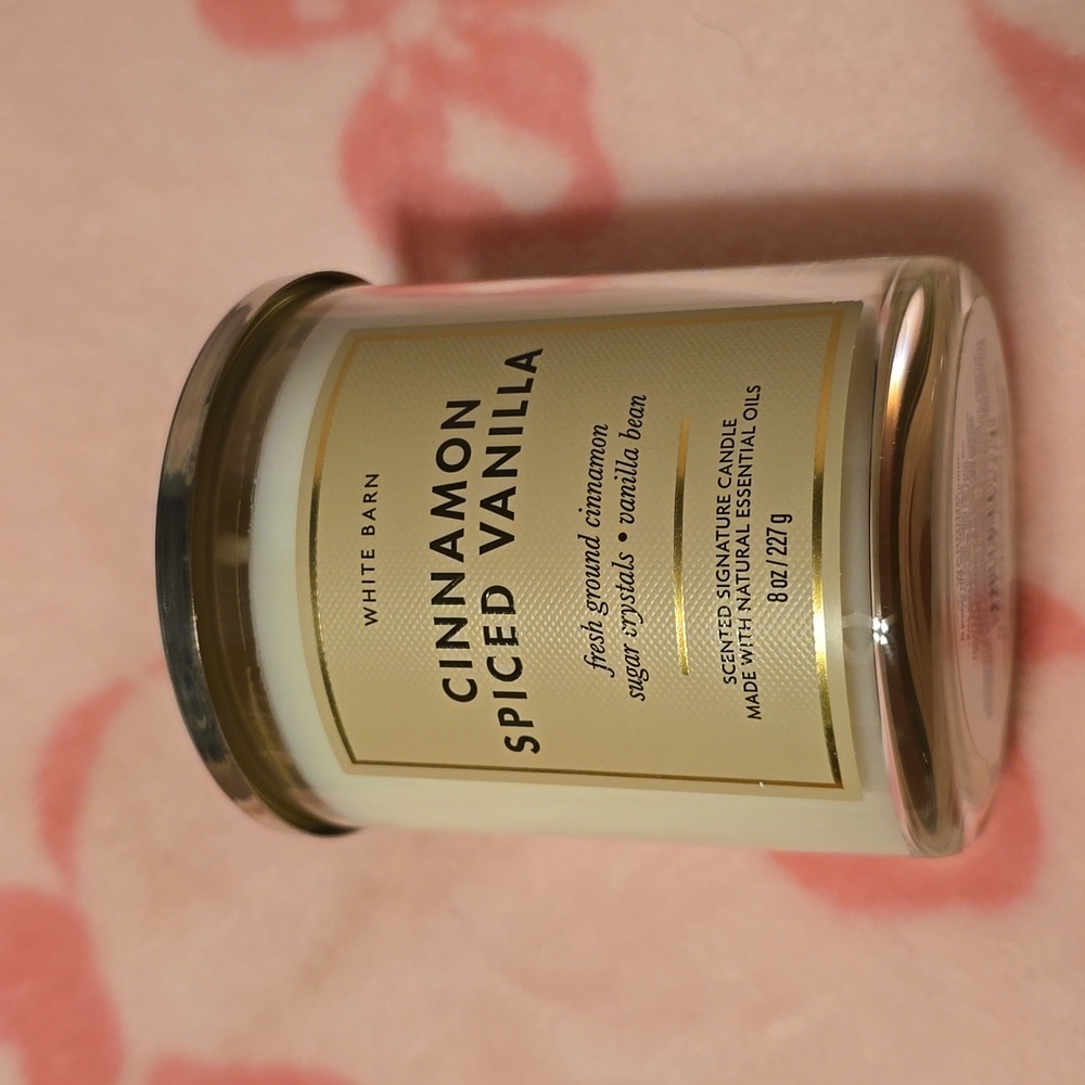 BNWT Bath and Body Works Cinnamon Spiced Vanilla single wick candle
